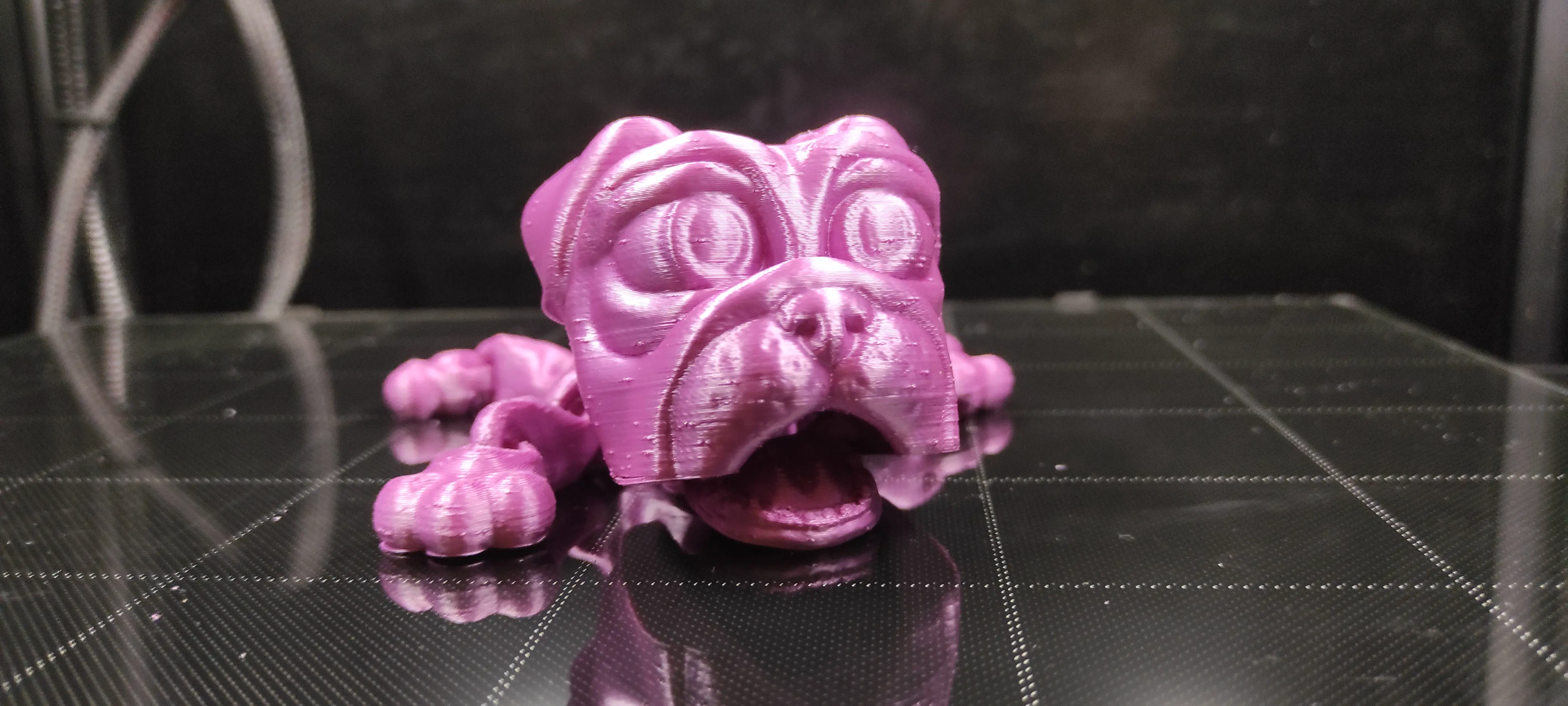 CUTE FLEXI PRINT-IN-PLACE DOG