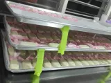 Baking Tray Supports-1