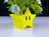 Super Star Planter-0