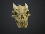 Dragon Skull Keychain-1
