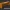 zander shad softbait 125mm