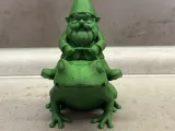 Gnome / Dwarf with Frog-4