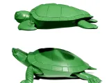 Turtles 2-4