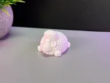 Cute Sheep-8