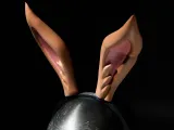 Rabbit Ear Tiara-5