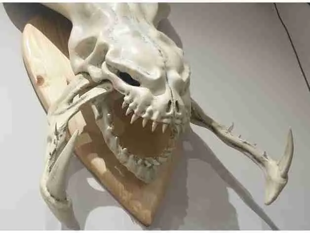 Hydralisk skull