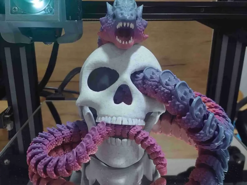Articulated skull with moving jaw