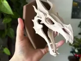 Dragon Wall Mounted-2