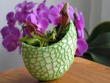 flower pot-1