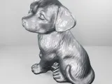 Dog with ball-4