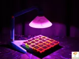 E27 Grow Light - Falconsson Multipurpose Desk Lamp-4