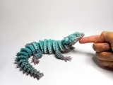 EKLEMLI ARMADILLO KERTENKELE (KÜÇÜK EJDERHA)-5