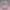 Velina Frostwhisper – Sweet Temptation Edition