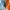 Mortal Kombat II 2 Johnny Cage Funny gesture F U glasses
