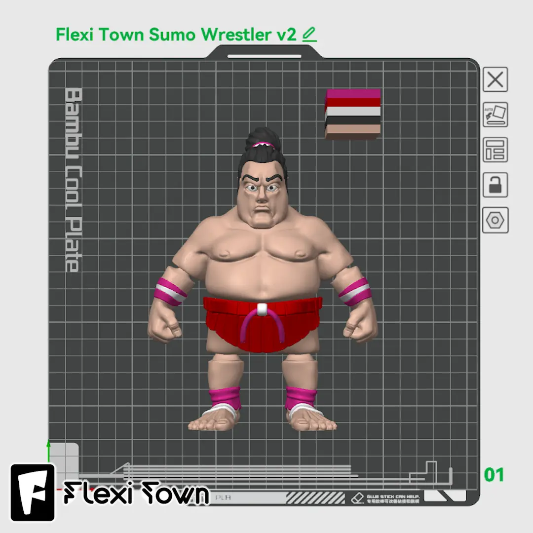 Flexi Print-in-Place Sumo Wrestlers