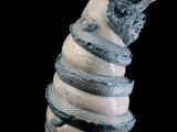 Dragon Wrapped Vase-2