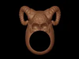 Skull King Ring 1-3