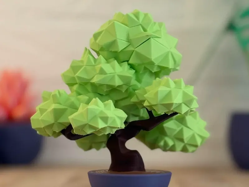 Bonsai
