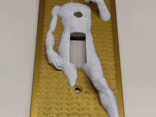 Renaissance Light Switch Cover David