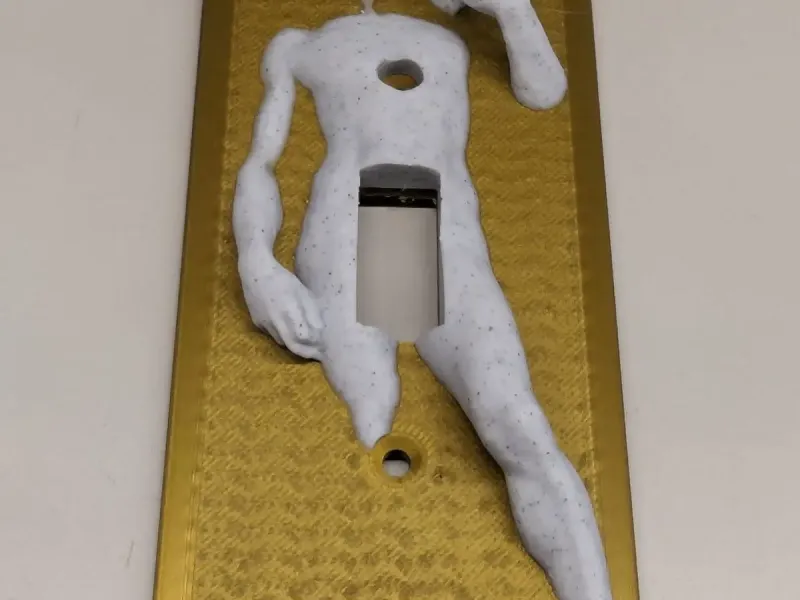 Renaissance Light Switch Cover David