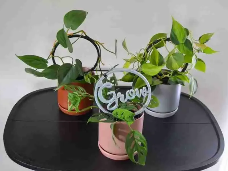 GROW Plant Rebenring