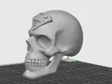Superman Skull-1