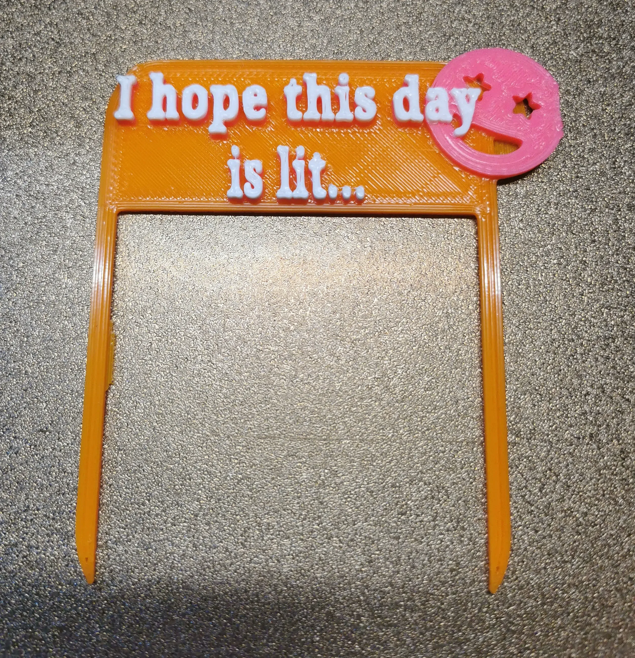 I Hope This Day Is Lit - Funny Plant Pot Decoration