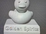 Duck Trophy-0