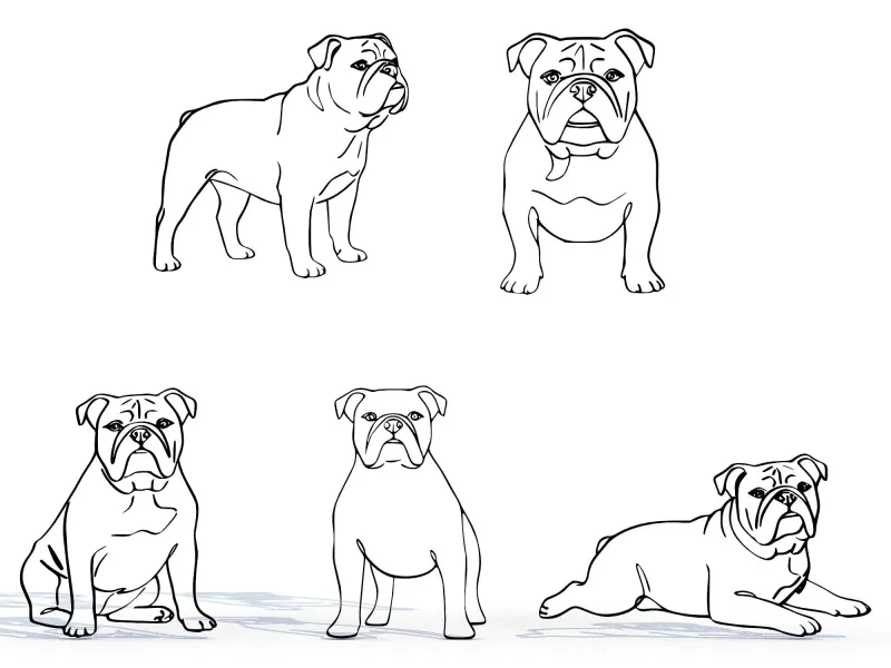 Bulldog Line Art Collection 5 Minimal Dog Designs - 3D Model