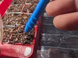 Seed Depth Rod w Depth Rings-1