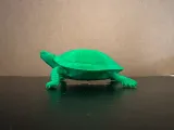 Painted Turtle-2