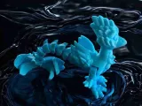Seachoc-0