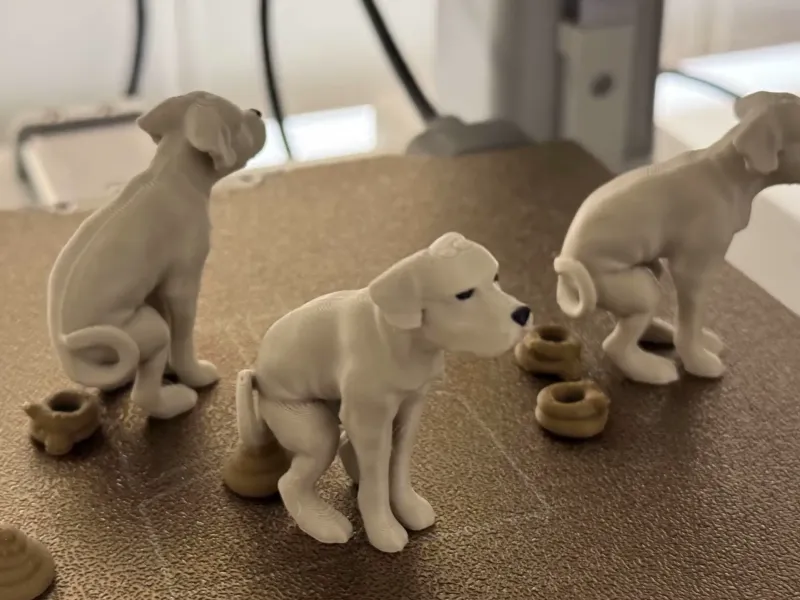 The Pooping Dog