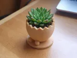 Easter Egg Creality-1
