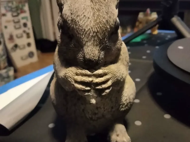 squirrel eating a nut