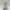 Celestial Tide Sorceress  Arcane Water Priestess 3D Figurine