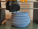 Cookie Vase-5