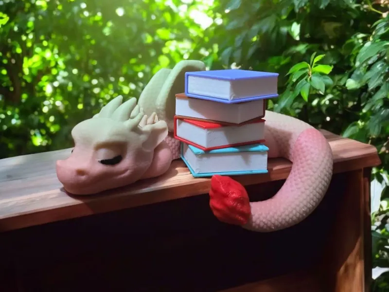 Drago dei Libri Addormentato da Scaffale
