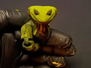 Cobra flexi