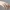 Schillernder BioWeave Ring – Noah0x03