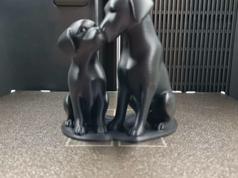 Puppy Love Moment