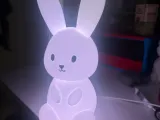 CONIGLIO (BUNNY)-2