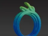 Dual Loop Harmony Ring – Noah0x03-3