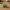 Llavero Creeper Minecraft