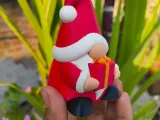 Christmas Special - Gnome (Gift Box)-3