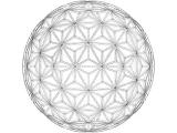 Wireframe Shape Geometric Star Pattern Ball-5