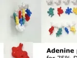 DNA - Deoxyribonucleic acid-0