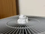 橘橘小猪-2