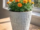 FLOWER POT-2