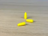 Mini Corn-2